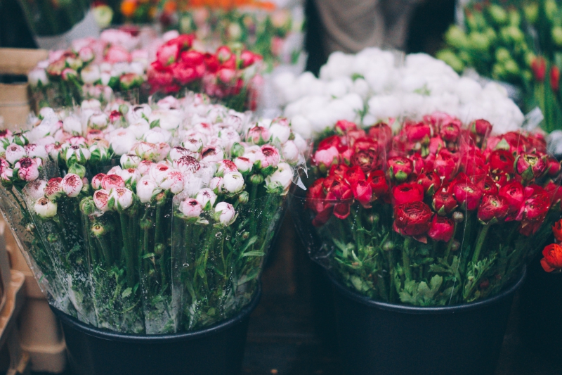 fleuriste-CALLAS-min_farmers-market-1209712